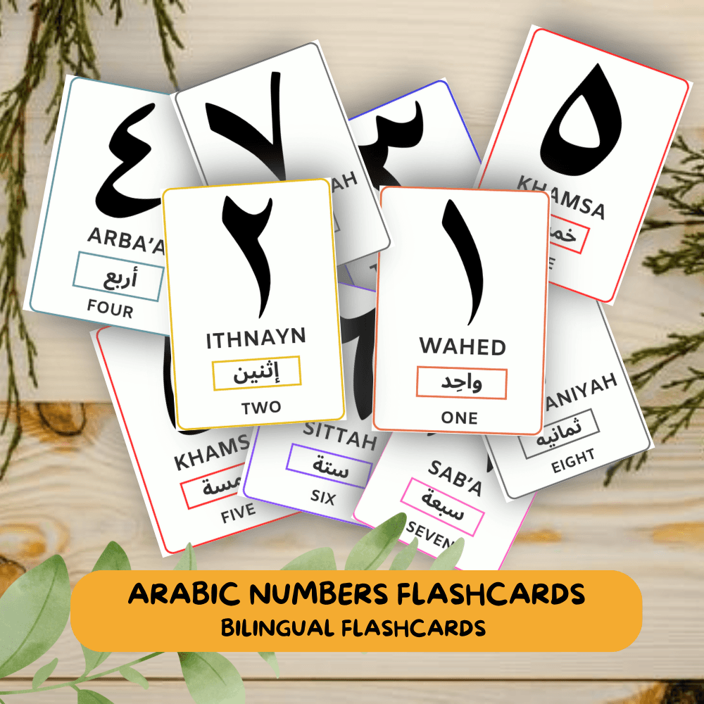 20 Arabic Numbers Flashcards